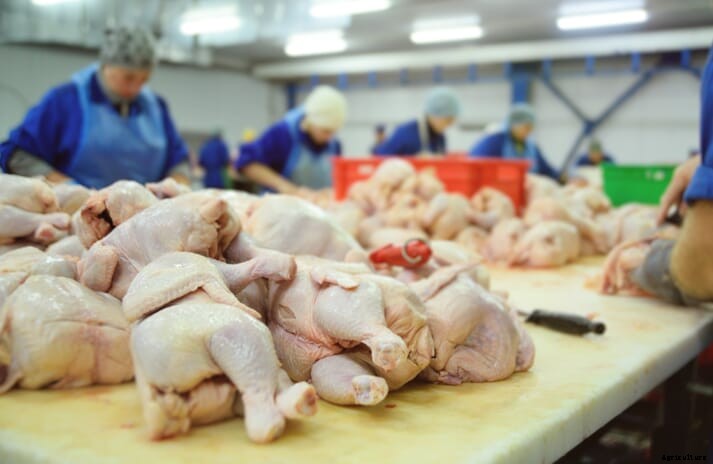Brazil’s BRF invests $54 million to modernize poultry operations in Paraná