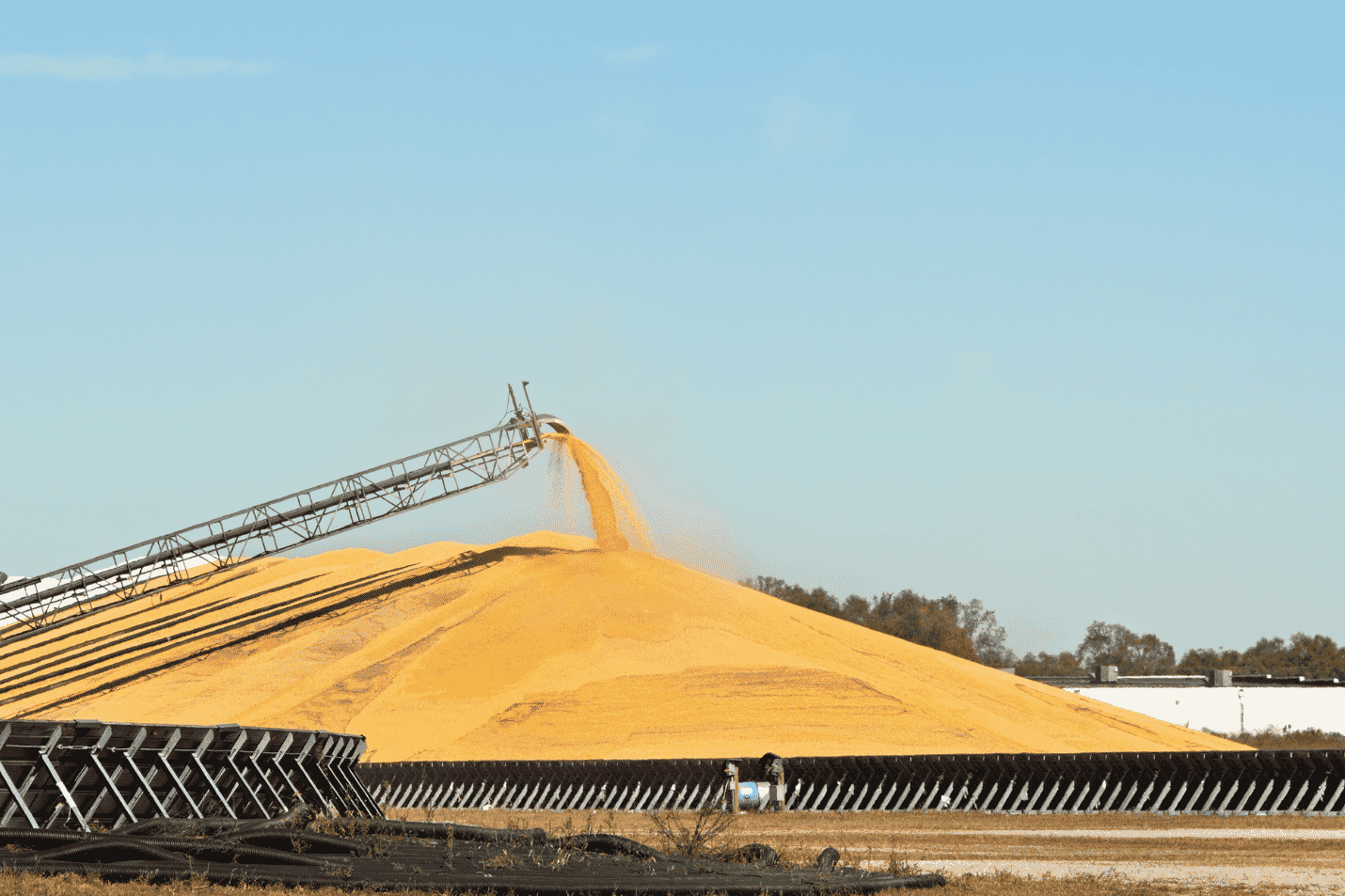 How contaminants enter the poultry feed supply