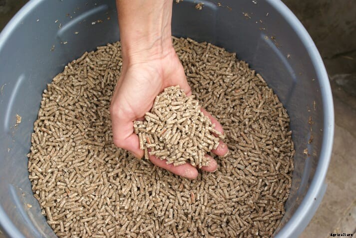 China revamps formula for poultry feed