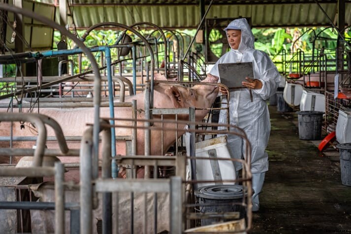 Veterinary groups warn that global animal health is being overlooked in the fight against pandemics