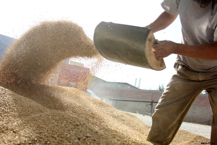 China moves to lower corn and soymeal volumes in poultry feed