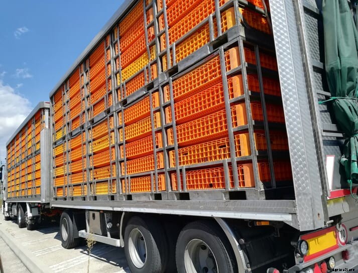 How you can help the EFSA prepare its animal transport assessment