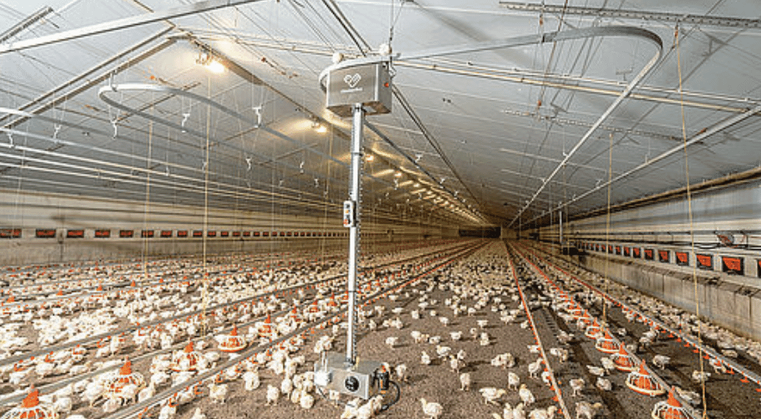 ChickenBoy analysis robot: keeping track of flock health in the broiler house
