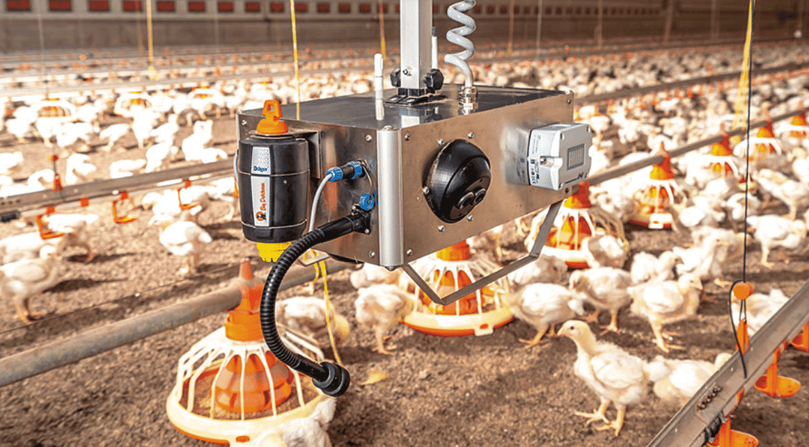 ChickenBoy analysis robot: keeping track of flock health in the broiler house
