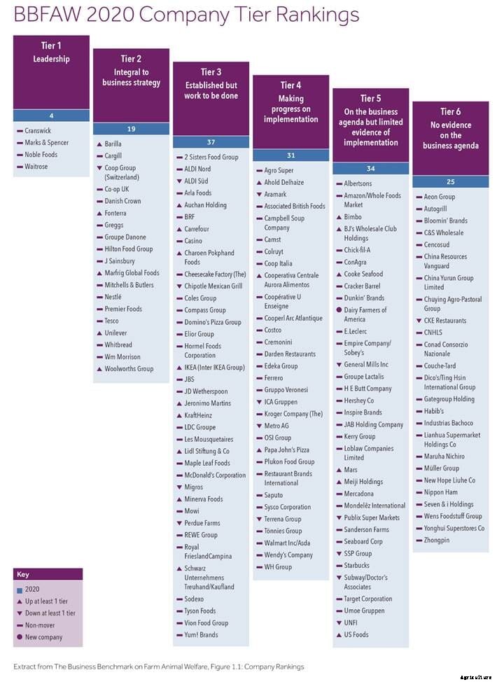 BBFAW update: Global food producers lead animal welfare efforts in 2020
