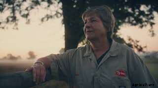 For a more enriching environment, Tyson Foods’ animal welfare team lets chickens do the choosing