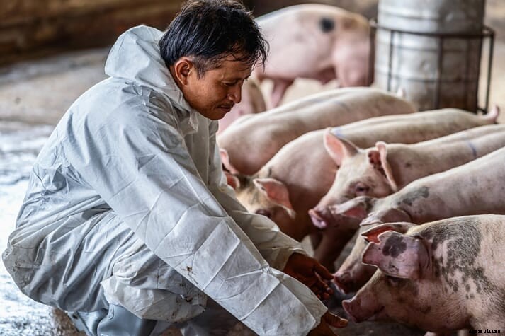 RCVS Knowledge to lead major antibiotic stewardship initiative for farms