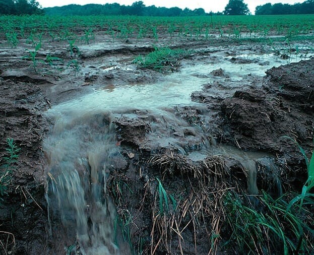 EU farming unions warn that carbon border adjustment mechanism resolution (CBAM) could negatively impact fertilizer prices