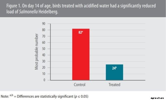 S. Heidelberg load reduced in chicks treated with acidified water the first 2 weeks of life