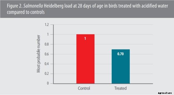 S. Heidelberg load reduced in chicks treated with acidified water the first 2 weeks of life