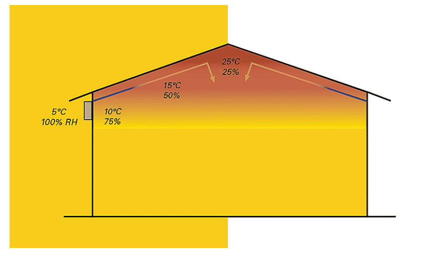 How the climate can negatively affect broiler health