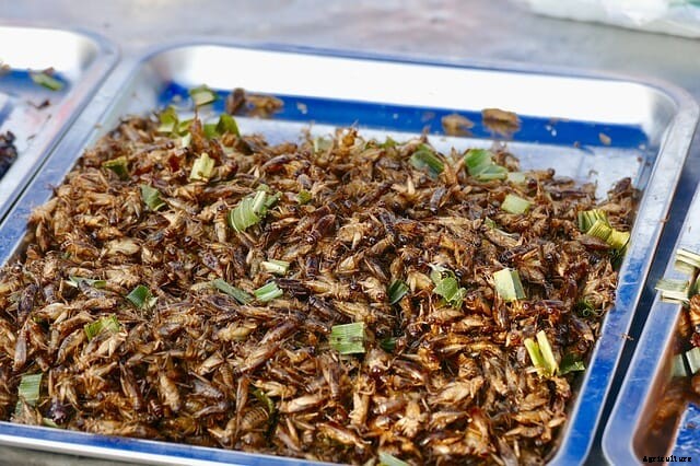 Insect protein expected to crawl ahead in 2020s