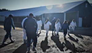 Texas A&M commits to enhance and expand Poultry Science Department