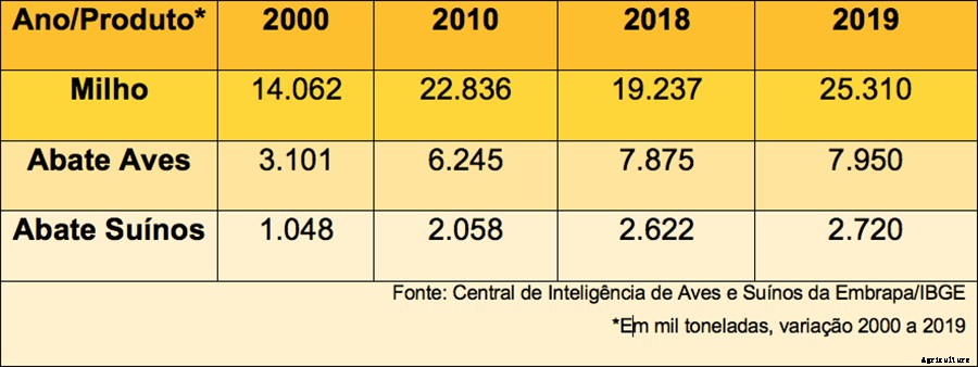Winter cereals can replace corn in pig and poultry feed