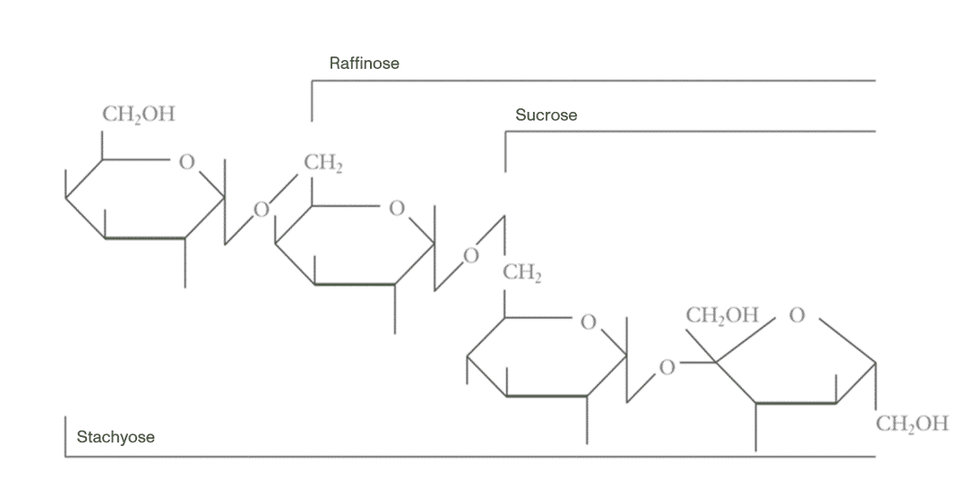 Bird welfare in poultry production: dietary soy α-galactosides do play a role!