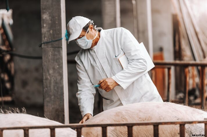 OIE's Global Burden of Animal Disease (GBAD) research programme secures more funding