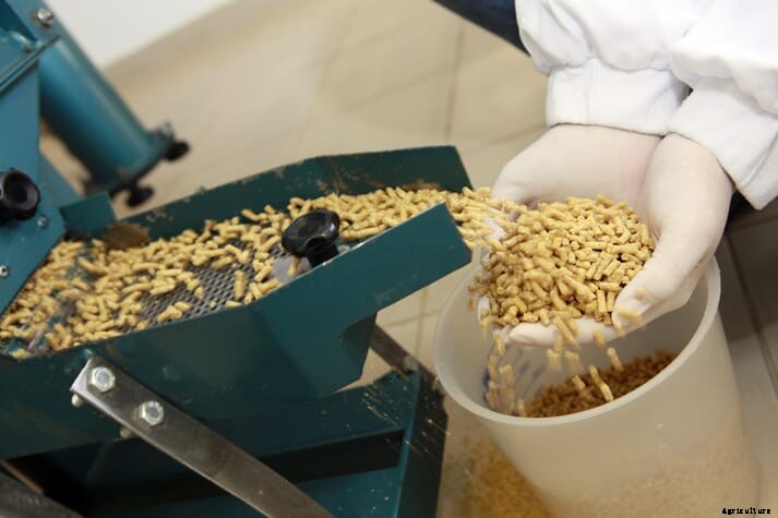 Mexico’s ag industry warns that bans on GMO corn and glyphosate could shrink food supplies