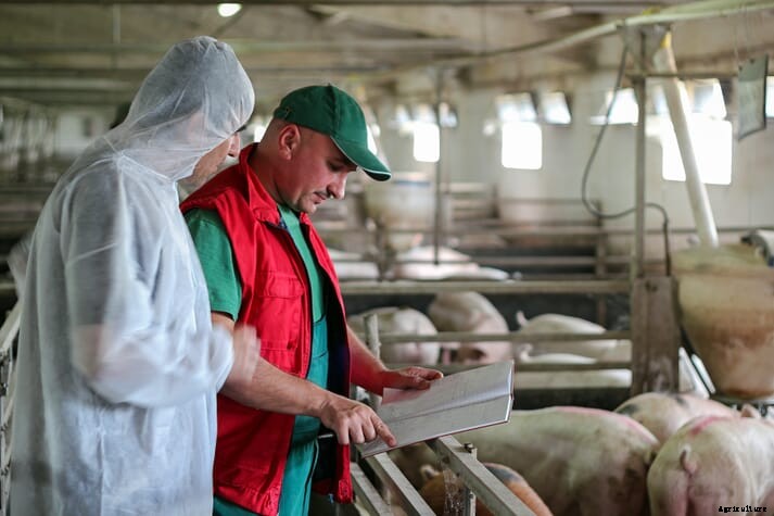 New report stresses the need for a UK farm animal health and welfare body