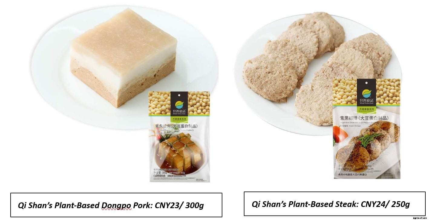 A Different Story about the Origin and Development of Alternative Protein in China