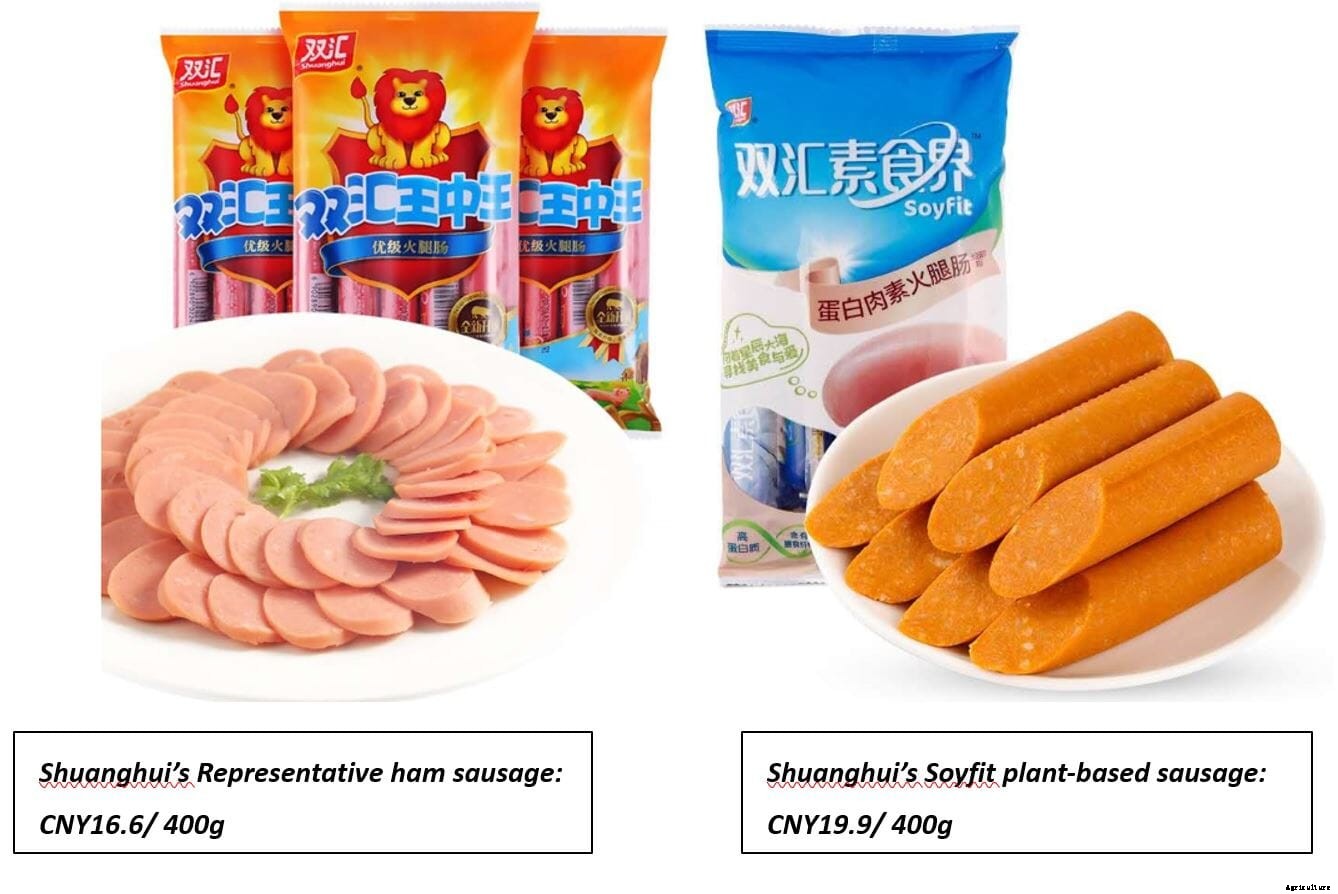 A Different Story about the Origin and Development of Alternative Protein in China