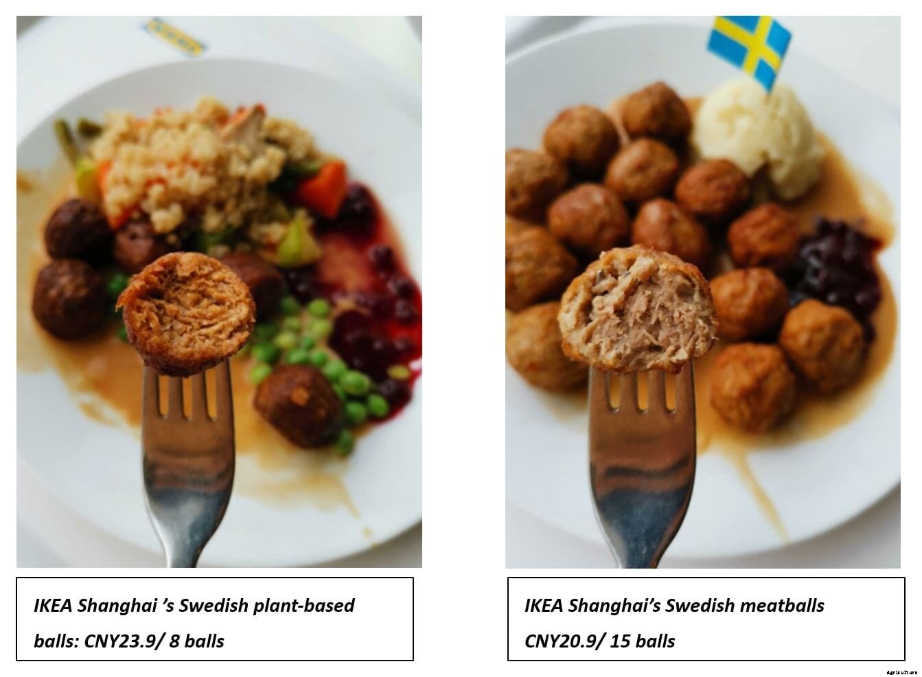 A Different Story about the Origin and Development of Alternative Protein in China