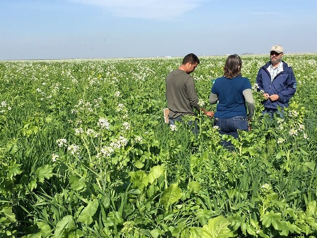 Delegates at the Oxford Real Farming Conference to champion regenerative agriculture