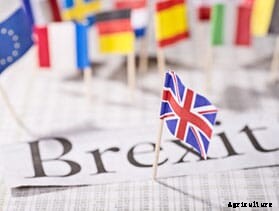 UK recognizes critical vet shortages as end of transition looms