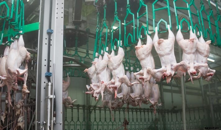 Researchers explore the effect of PPA in processing wastewater treatment systems