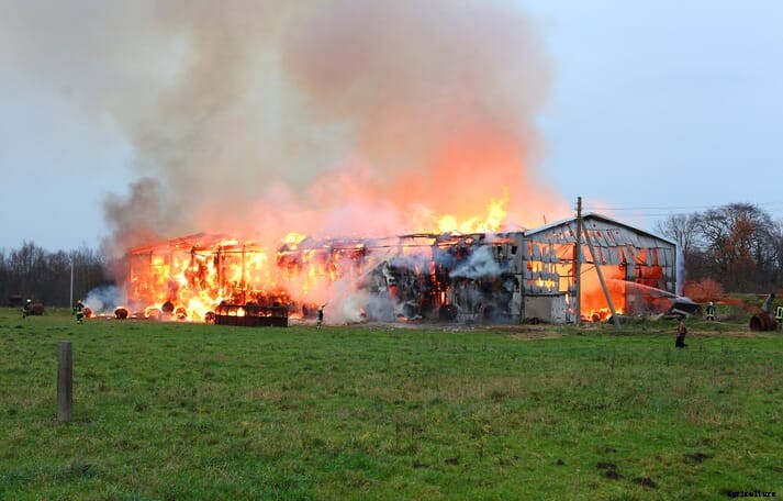 Report estimates that over 1.4 million farm animals died in barn fires in 2020