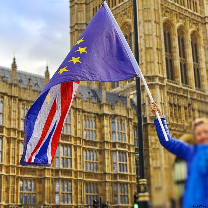 UK vets grow wary as Brexit transition looms