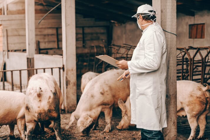 UK farm vets work to establish a country-wide network of Farm Vet Champions