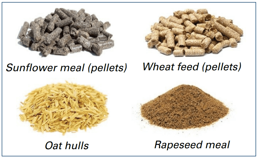 Managing fully beaked flocks