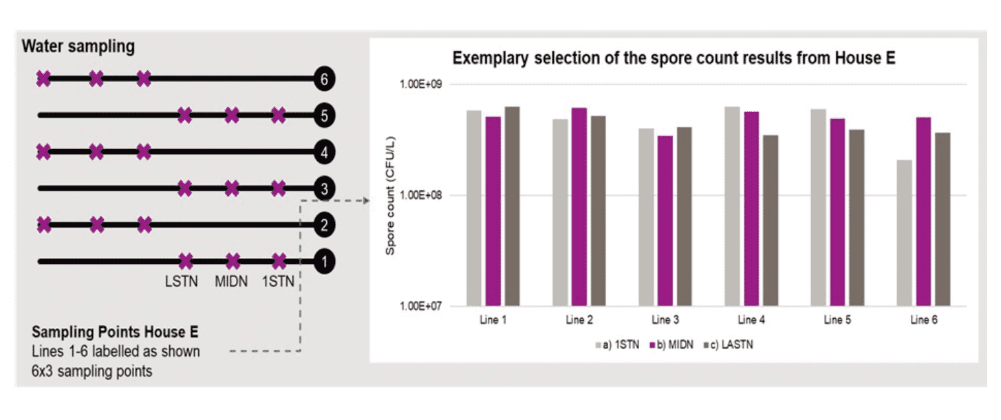 The next generation of water-soluble probiotics, providing a possible alternative to AGPs