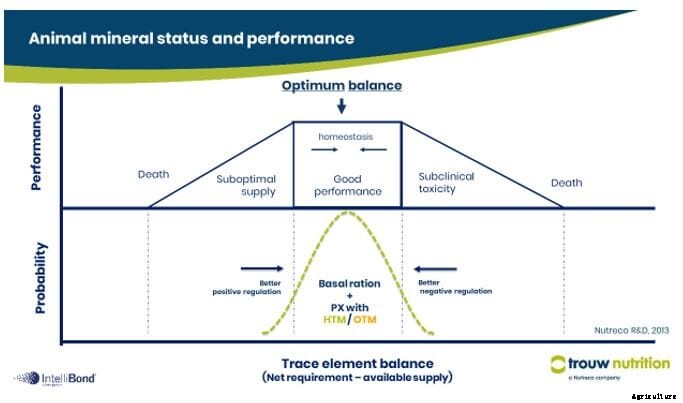 Zinc oxide variation raises questions of reliability, prompts alternatives for livestock
