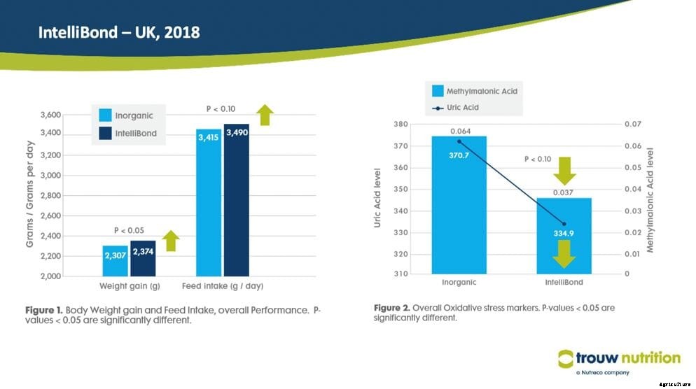 Zinc oxide variation raises questions of reliability, prompts alternatives for livestock