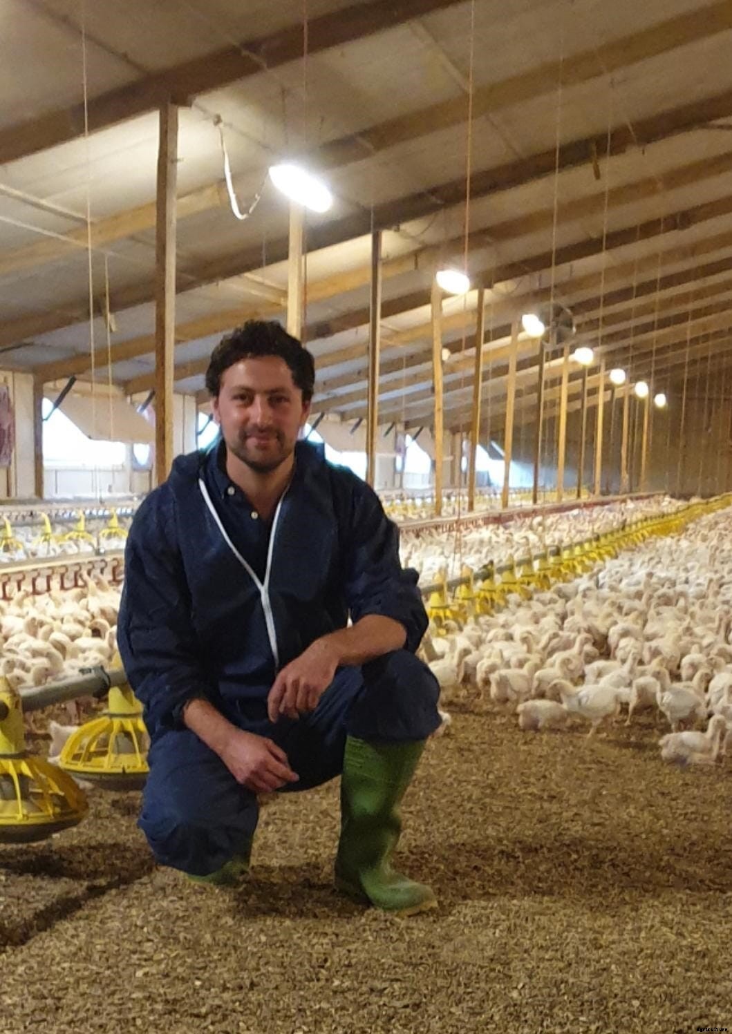 Production Perspective: Cobb500’s robust gut health provides opportunity for cost-savings