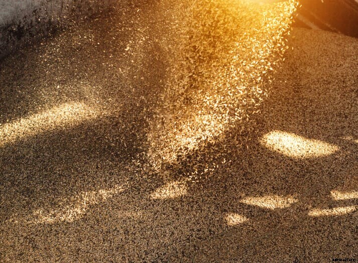 Brazil to suspend tariffs on corn and soy until 2021