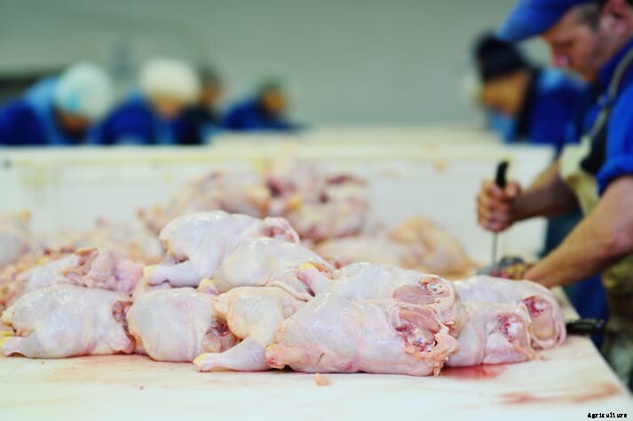 Fallout from Pilgrim’s Pride plea agreement