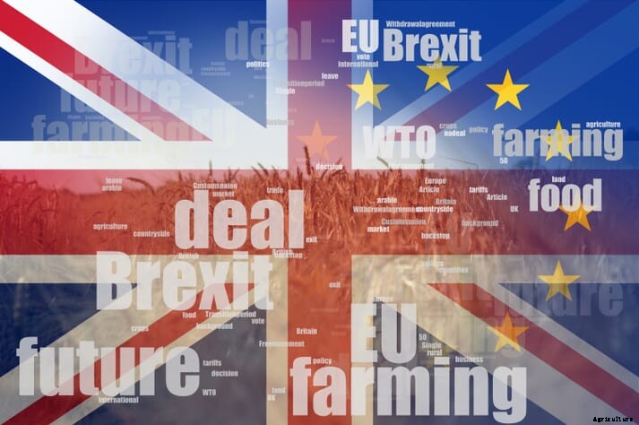 UK Lords back welfare safeguard in Agriculture Bill