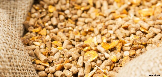 It's time to rethink feed ingredient strategies