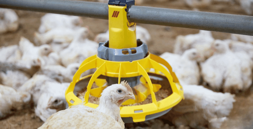 Roxell is expanding the range of MiniMax™ feeder pans