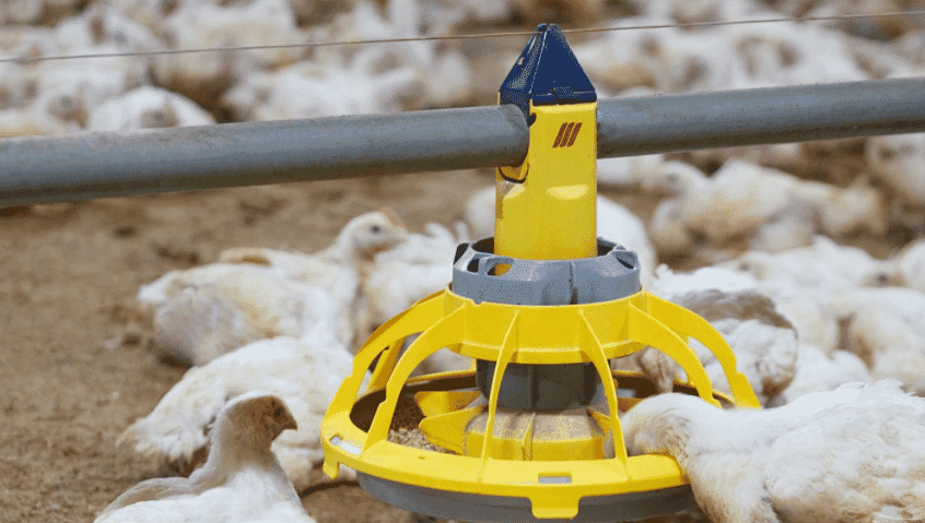 Roxell is expanding the range of MiniMax™ feeder pans