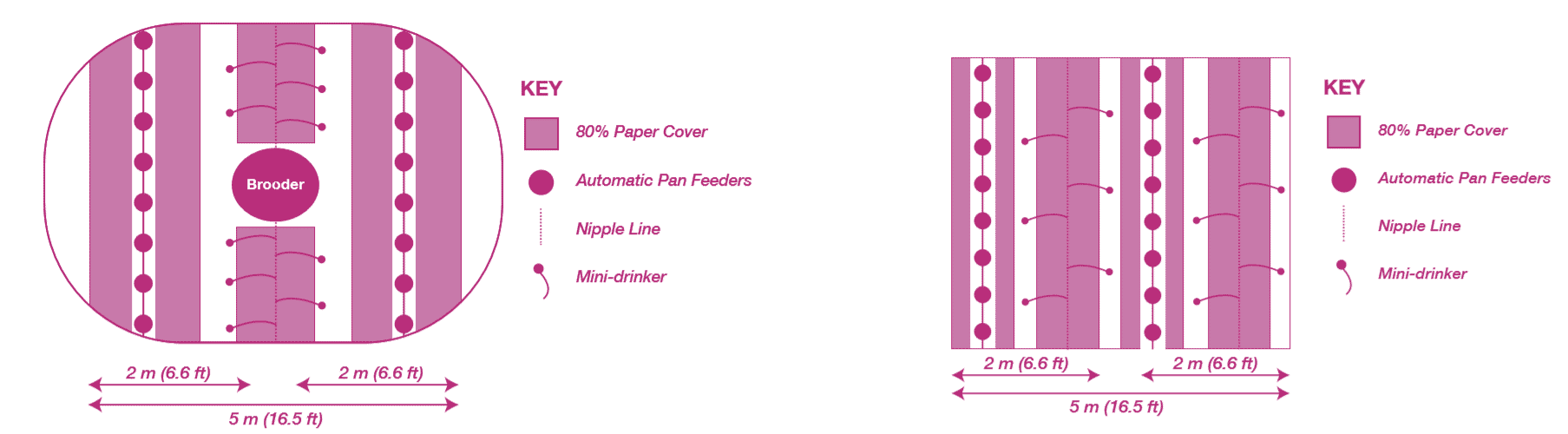 Flock management tip for broilers: Achieving a good 7-day weight for optimal performance