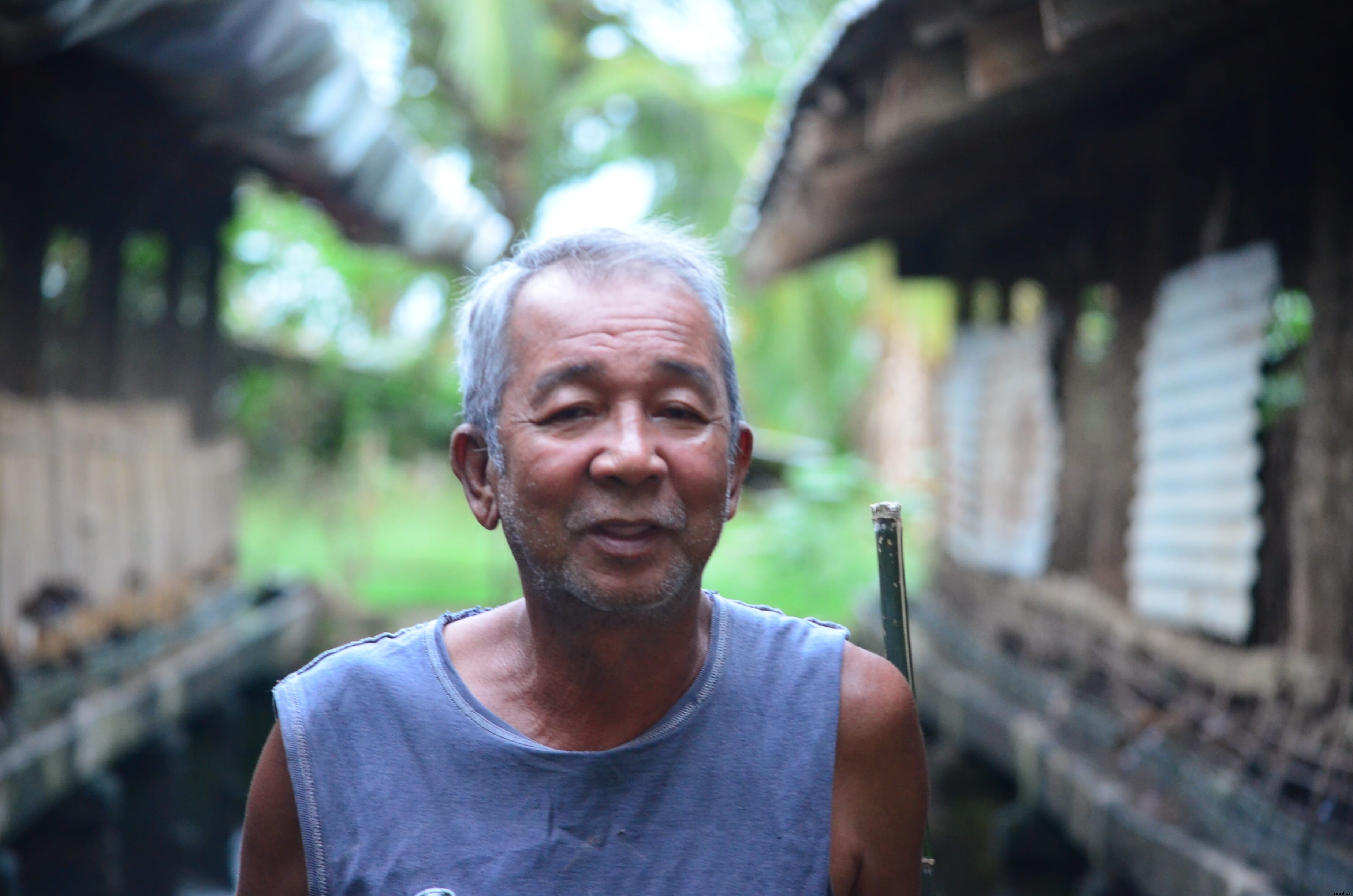 Time to 'give a duck': The Philippines duck industry