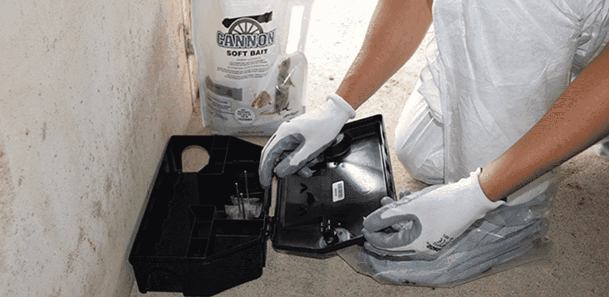 Rodent baiting strategies for extended downtime