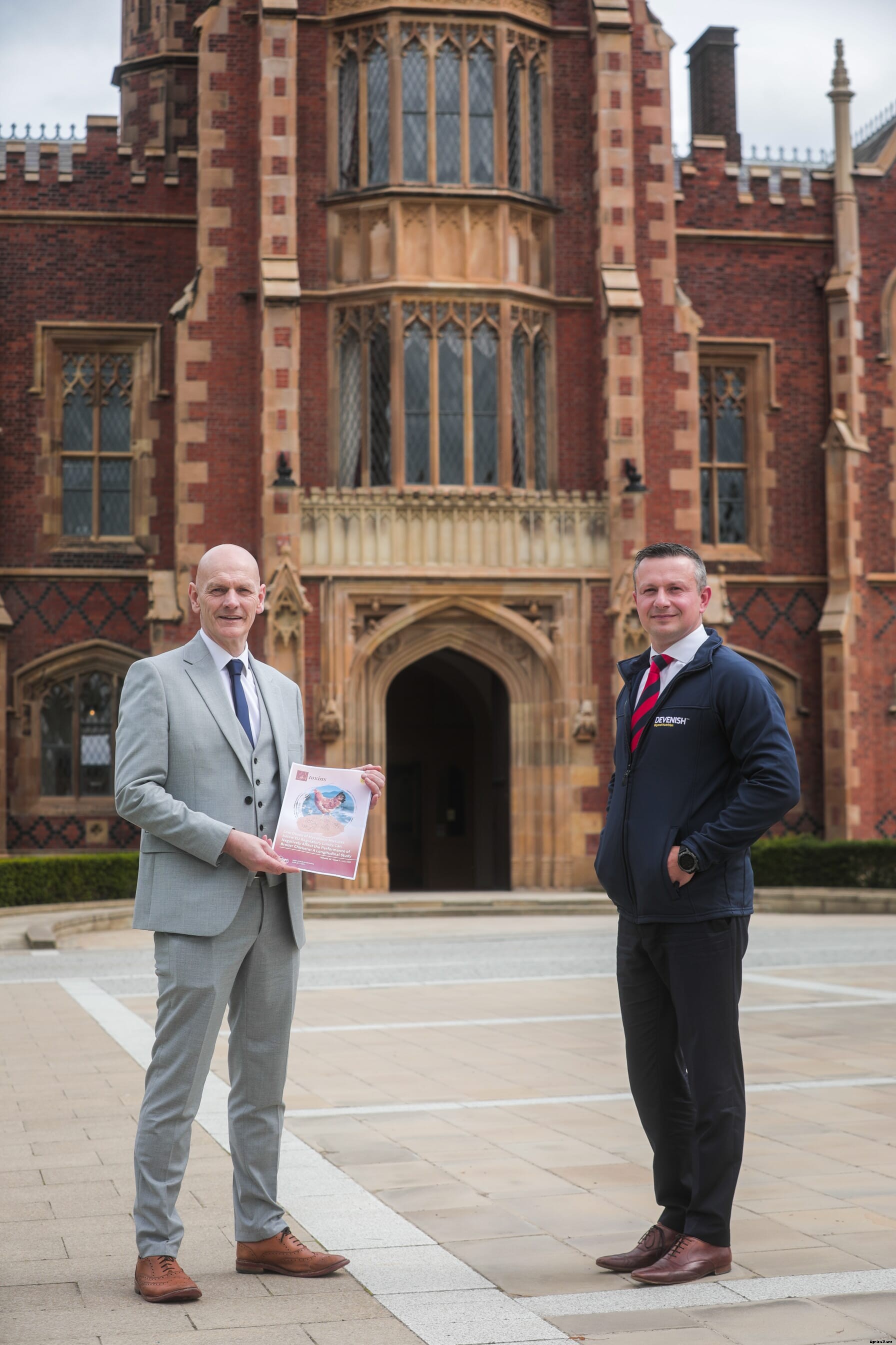 New study shows direct link between low mycotoxin levels and broiler performance