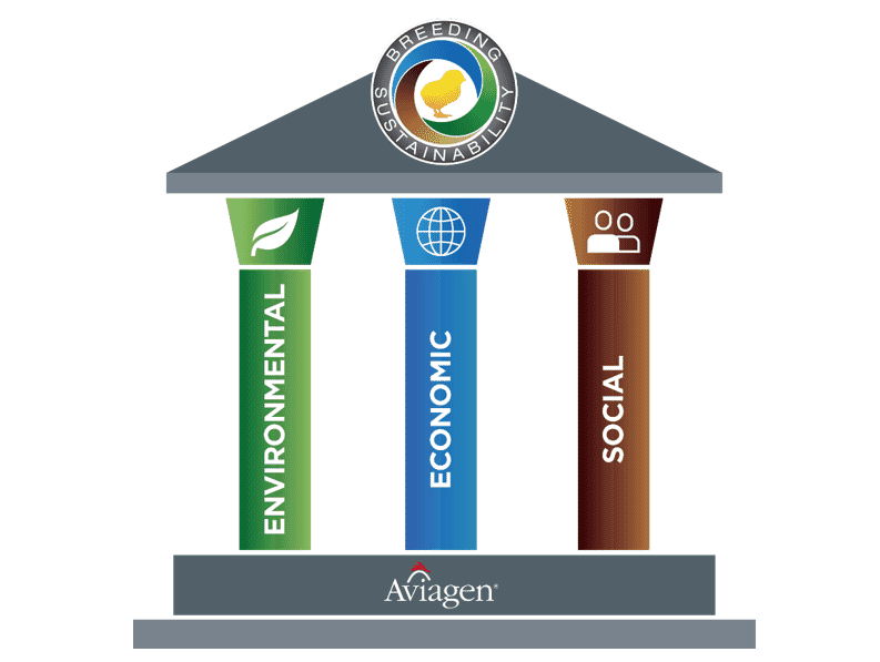 Animal welfare – Key to sustainability of the poultry industry