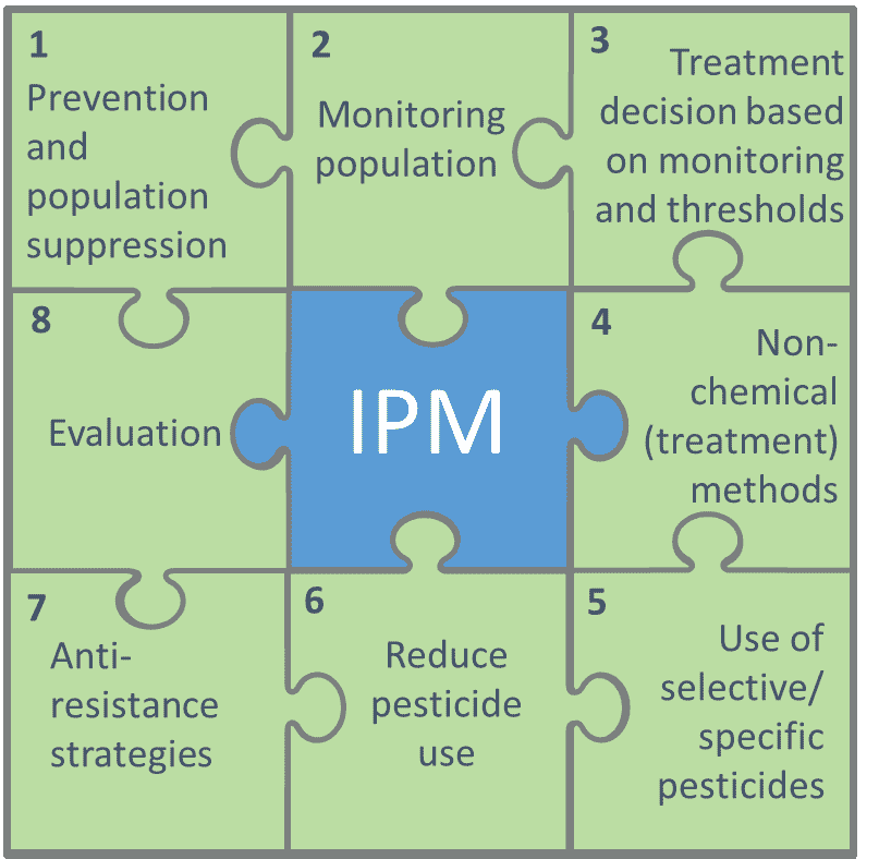 MiteControl: how an integrated pest management approach can help control red mite