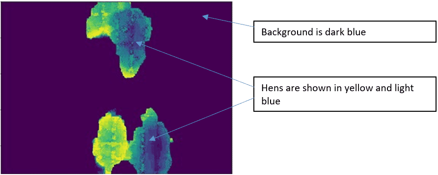 Developing a camera-based early-warning system for detecting red mite infestations