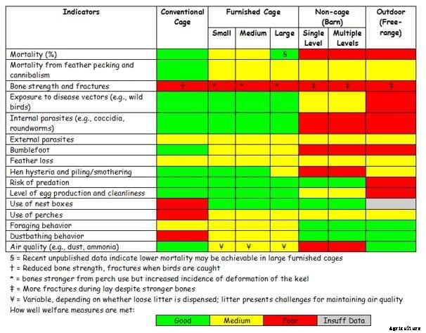 Flock welfare is essential to the sustainability of the poultry industry